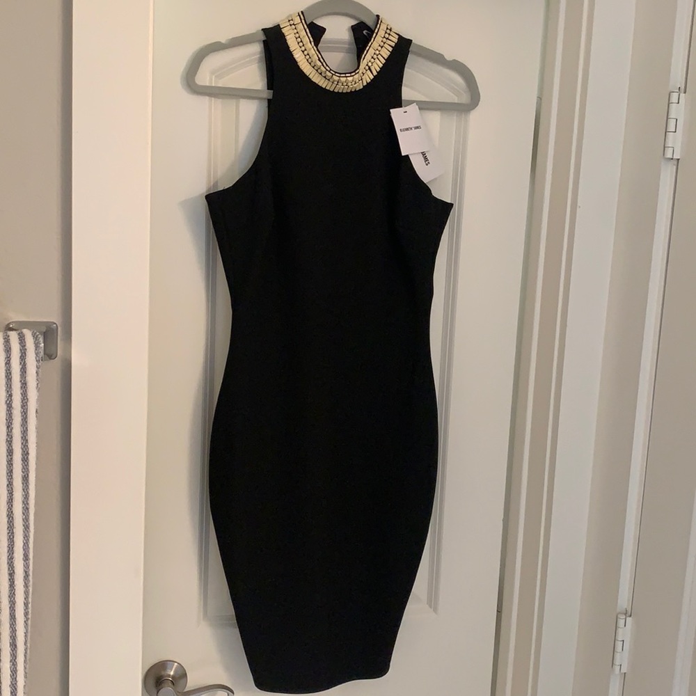 Elizabeth and James cocktail dress size 2
